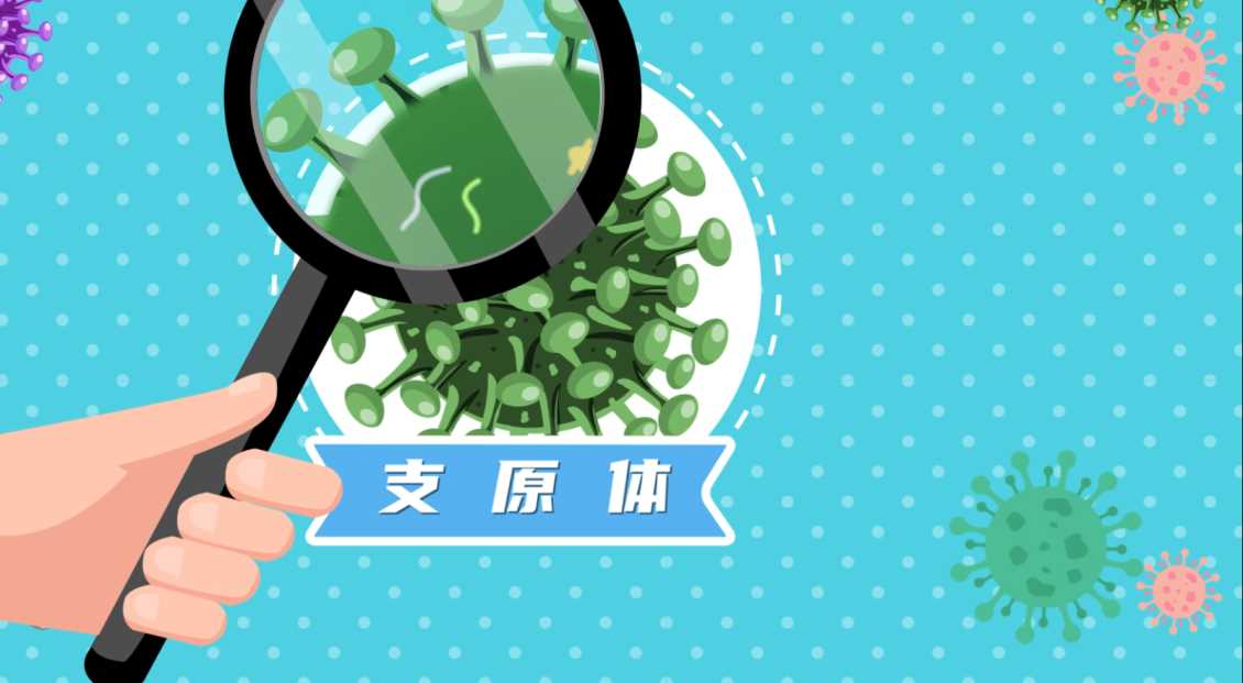 医疗健康MG动画的科普传播策略